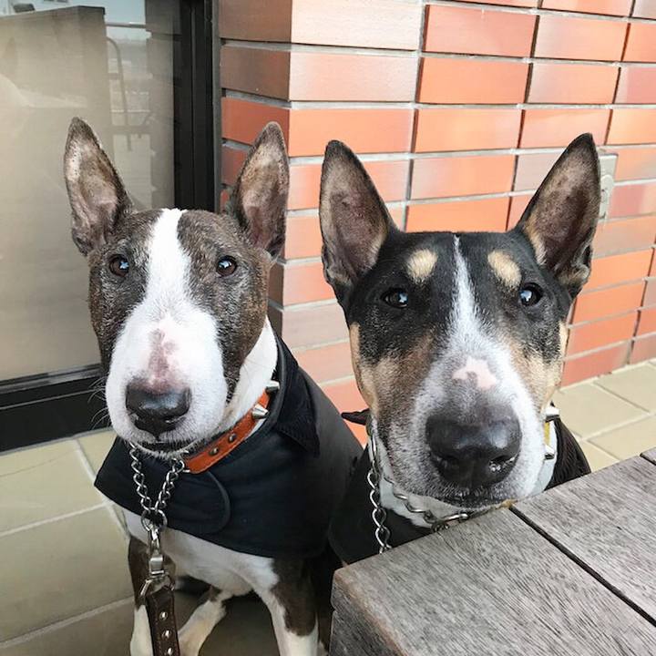 6ee35736 7466 489d 8764 3af3bba7ceb9 1514621826513