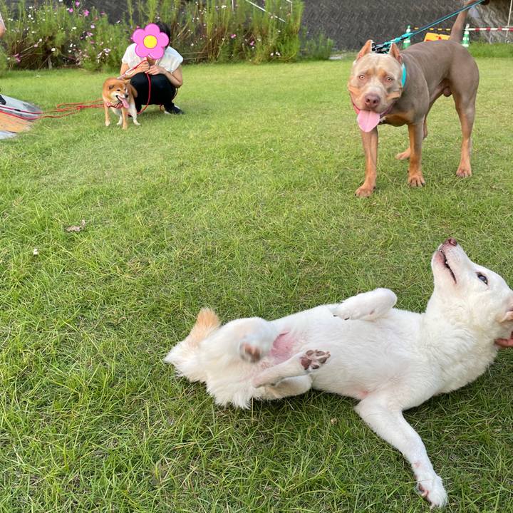 6ee3997d 704d 4fc0 a272 c768b578f3ed 1665840463640