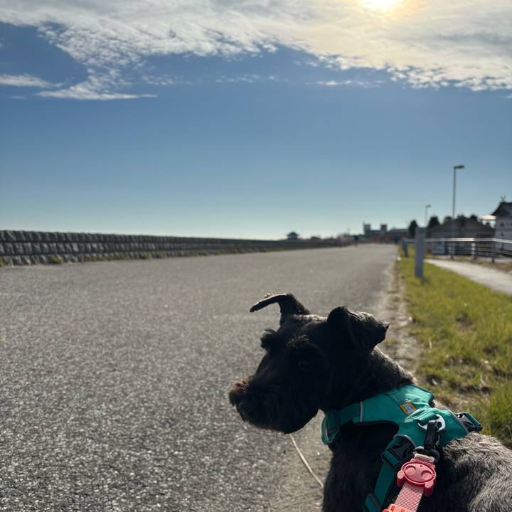 6ee3a0ff 1a05 4c07 b9a1 b6b8de2a7777 1763947810794