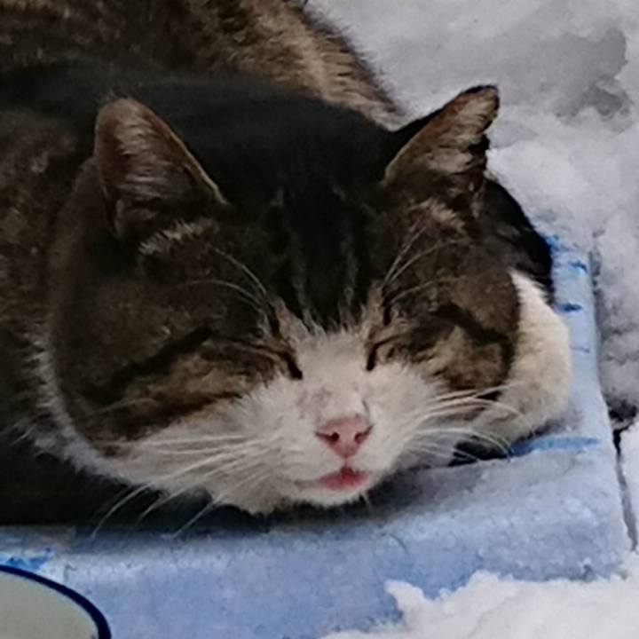 6ee413e6 4530 461e 8c63 fcf26550198b 1516591907733