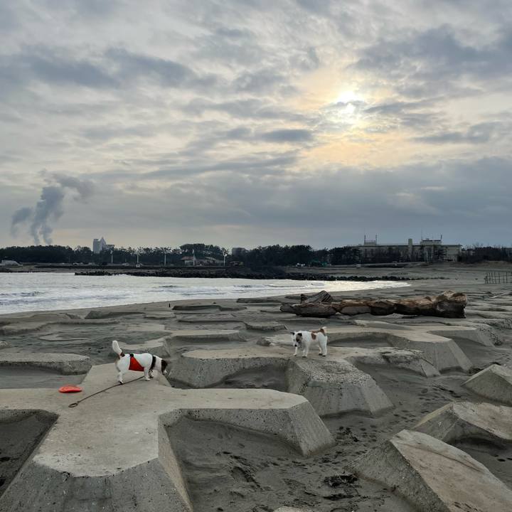 6ee45be2 8f34 4a99 a92e 568b5d41ddbd 1677197728673