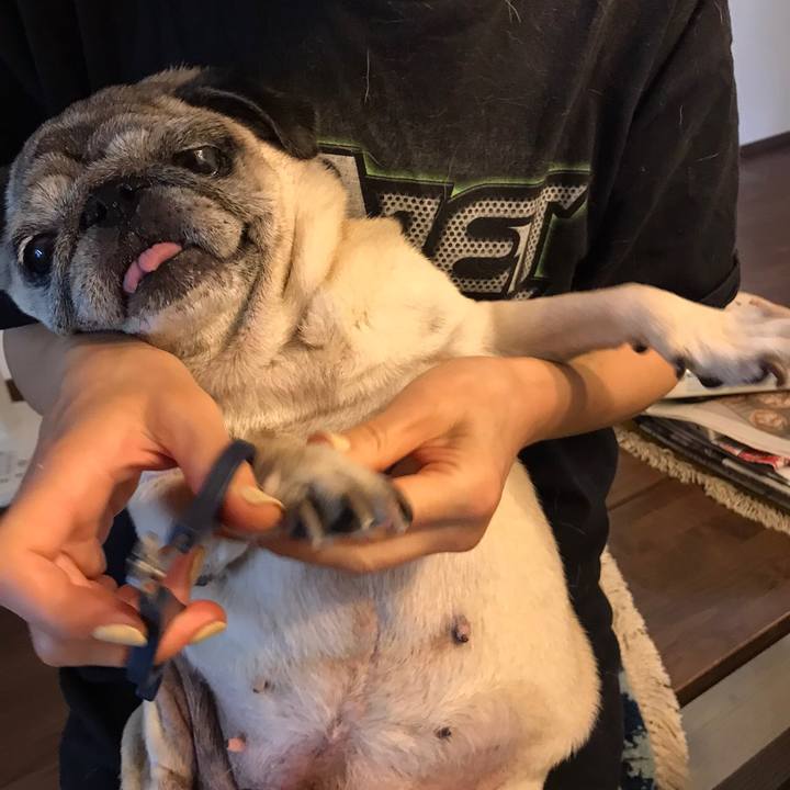 6ee462a2 23f6 436f 8a02 6bf8d5c9eead 1601163068983