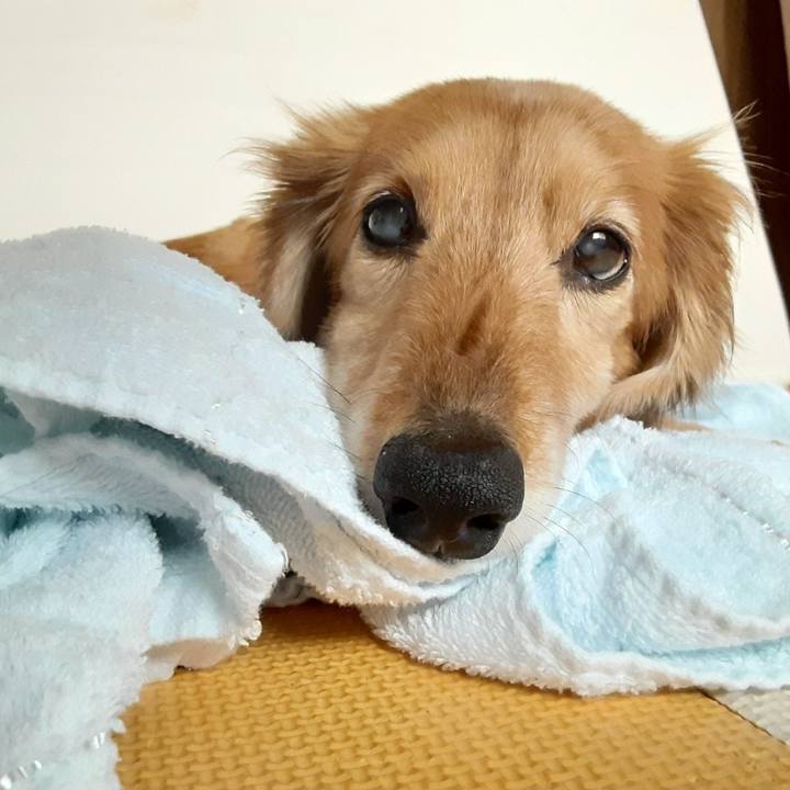 6ee4d9a9 0787 4186 ae01 dc92ba021426 1650794179728