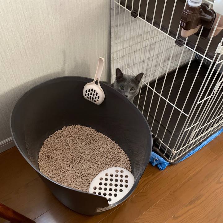 6ee4dccd 2b7d 4ed9 a21d 305061c6e6a2 1641605202695