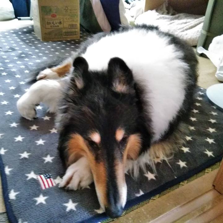 6ee54d2a a2a2 41b7 9eda bcb6e04d705f 1551182780684