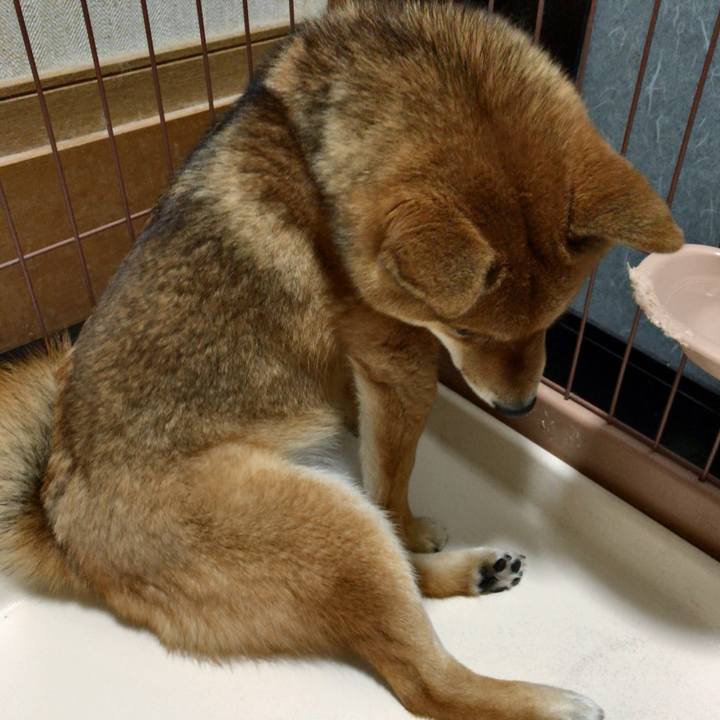 6ee566a4 50c5 4070 b4a3 4eea1eacc203 1518000902492