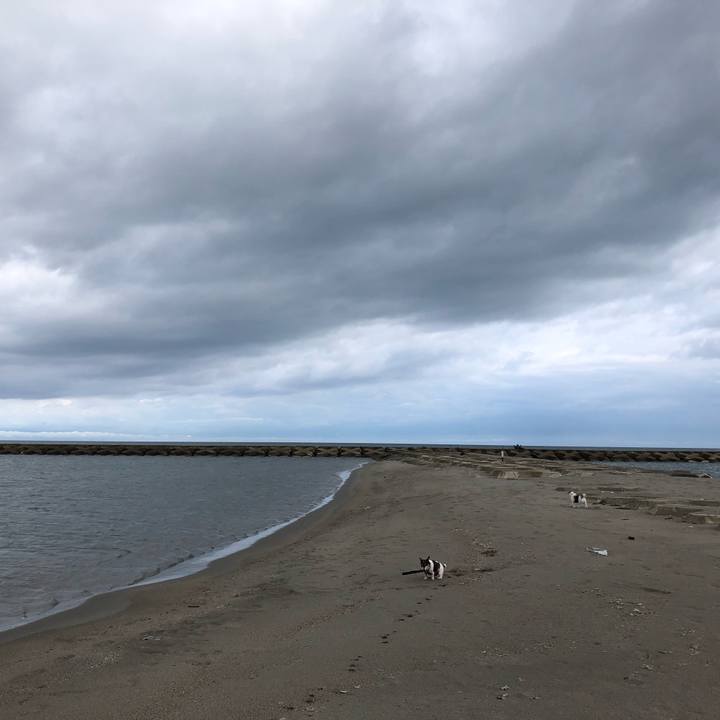 6ee59a3b ad12 4150 ae93 d65460a93d49 1566517418157