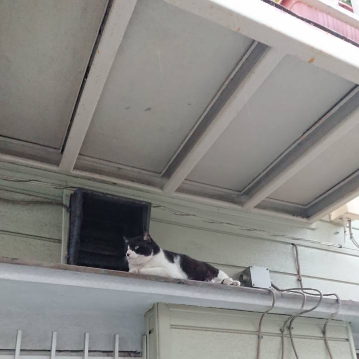 6ee5b3c2 941b 47e3 9e8d 77e2c7e4d84c 1628842915601