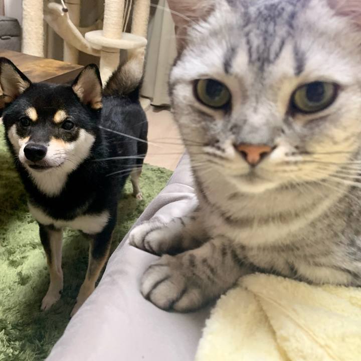 6ee5fd90 89a1 44fd b541 ddd6b30434d7 1634218009757