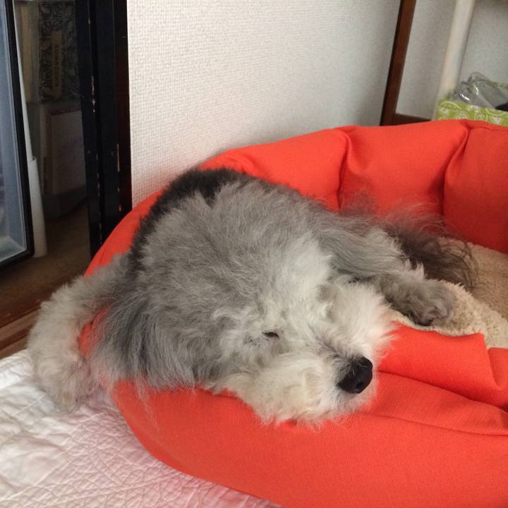 6ee65097 1536 4fa4 9b6e 00747d42ea74 1508041477960