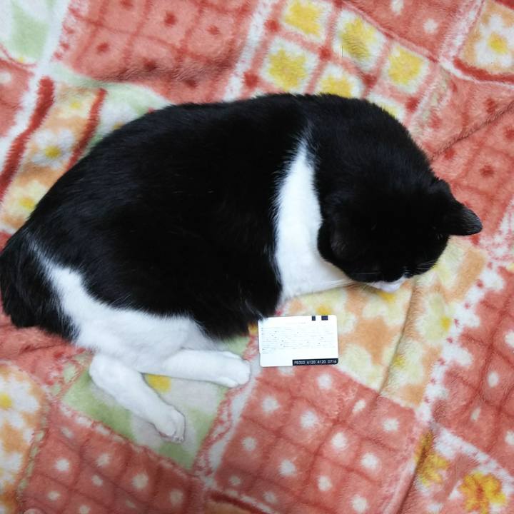 6ee708ea 7255 4971 b12e fab84d217475 1525616698698