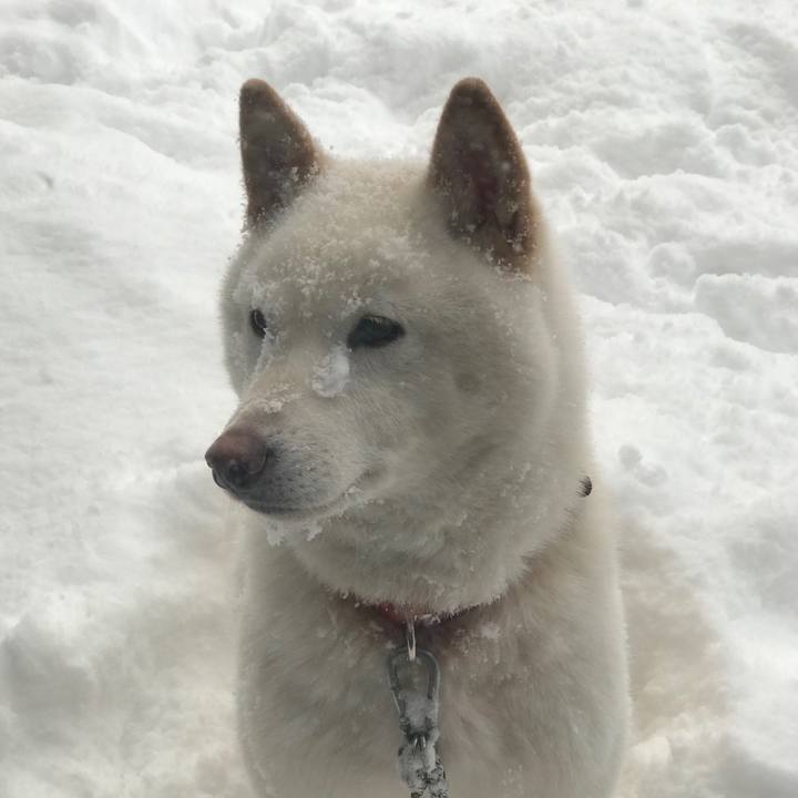 6ee70bf6 311c 426d 87e0 ac1aec466c79 1532815172378