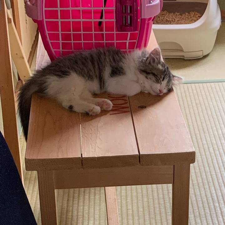 6ee71110 b0d7 47d9 9f7b bfeea72be8db 1687056630820