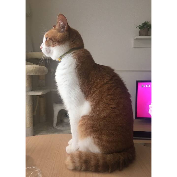 6ee720d6 404d 4144 af17 dffc94584eaa 1592700149018