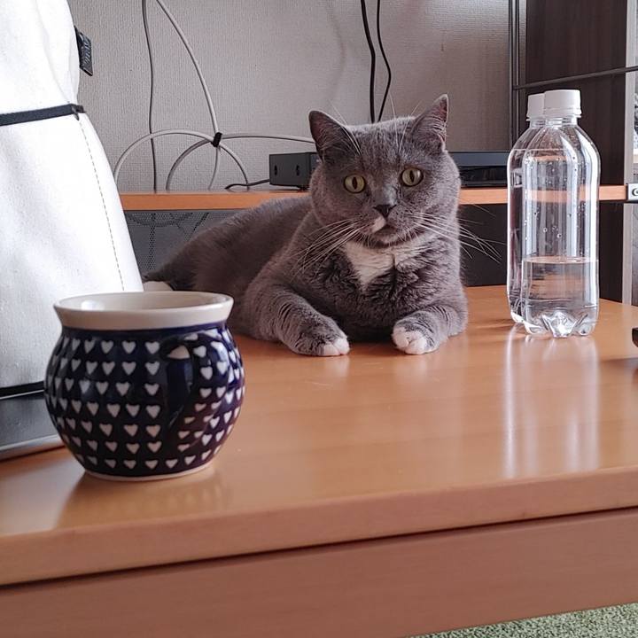 6ee75250 a028 4377 afe2 0d7c18b71f91 1719267122261