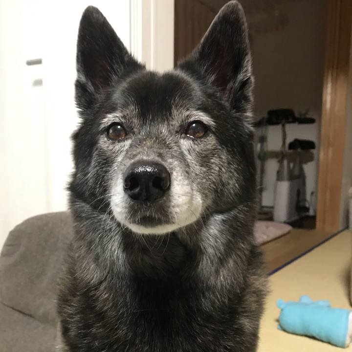 6ee7b479 8cca 48ee 9717 e5304a771b56 1593264847074