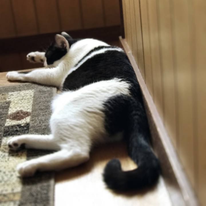 6ee7d744 7ef2 425b b098 2cd78c0d7771 1536541012322