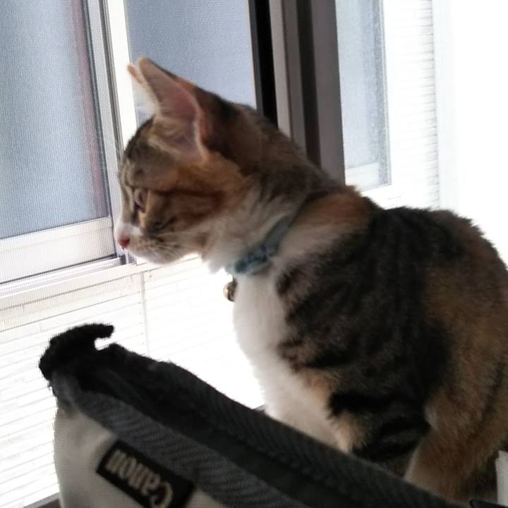 6ee7d8bc cc50 4b6c 9878 f6d99f761f13 1629239043961