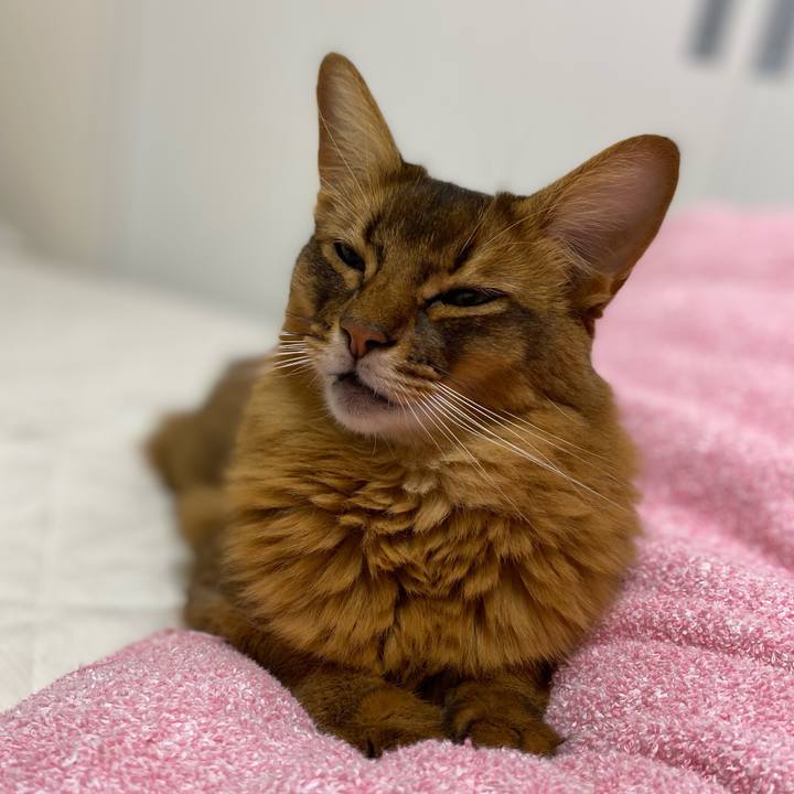 6ee7daaf be5b 4a27 afcb 4fcd0a2ed8b2 1665130766336