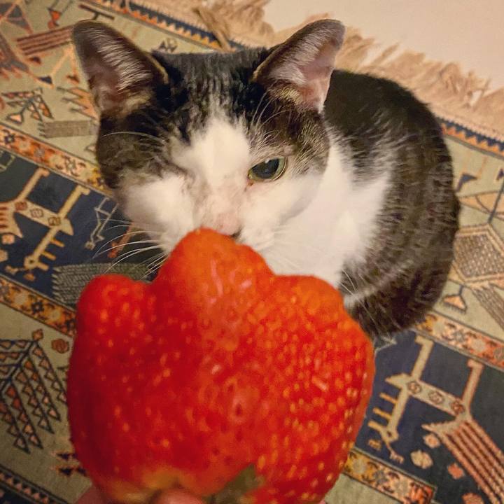 6ee83850 be5c 4dbe 9536 51a5ebea10dd 1612528481387