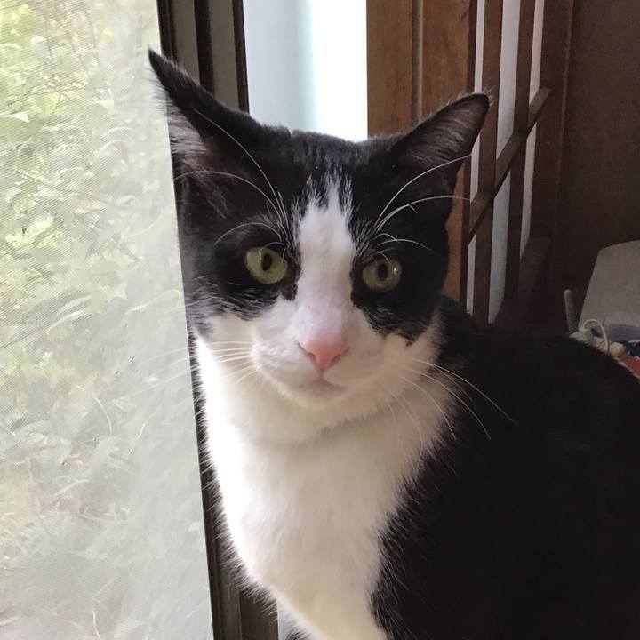 6ee838be 8c69 4194 9553 a7d4f2b0d369 1713171128389