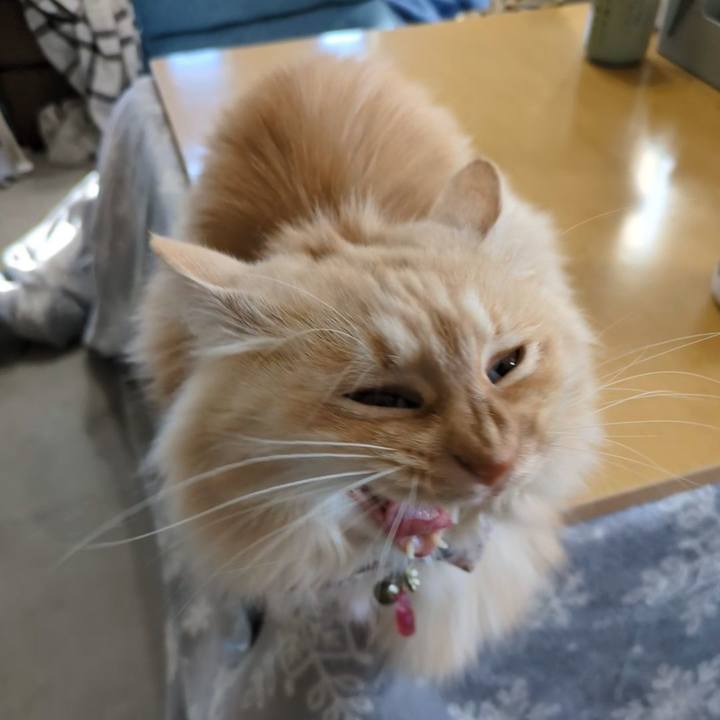 6ee83f35 64c7 4bd9 9753 309fcba9b364 1769827527912