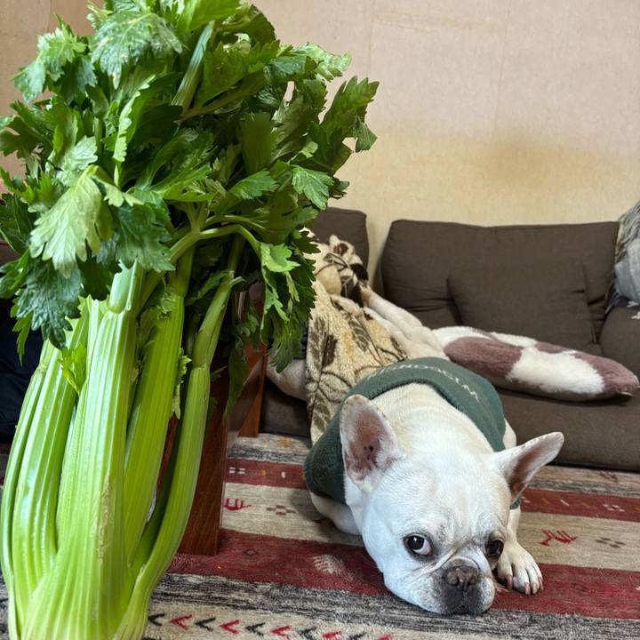 6ee84a04 0f1d 48b4 99c3 bd3df14deb20 1770937770640