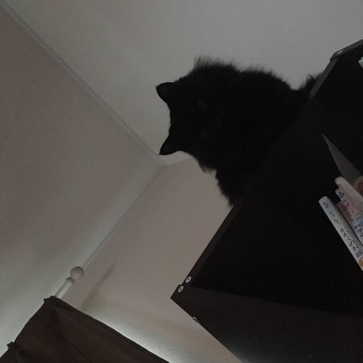 6ee85cbb 1e9e 4607 838e 5f20d5937ed5 1573347416181