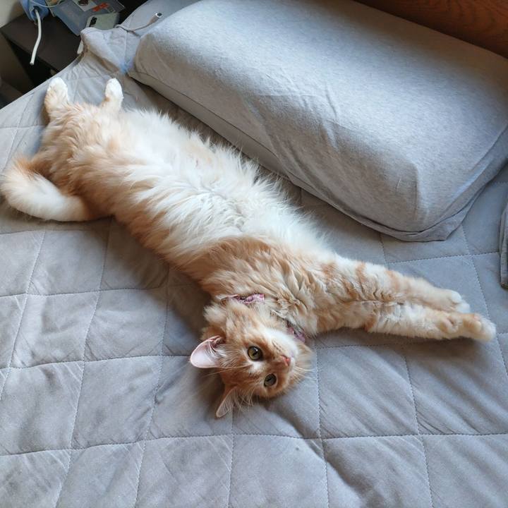 6ee867c7 591f 4543 ab83 76f7e159ec99 1695028807039