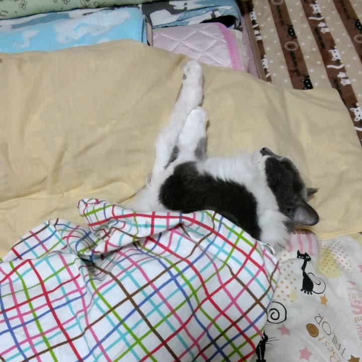 6ee8e08b 8b8a 47c4 8c1a 01bc71d7c286 1601977119159