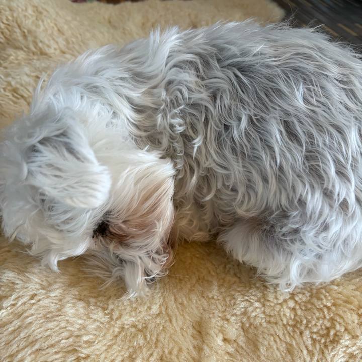 6ee943cd cece 493c b8eb a62a0eb2bb85 1772936458558