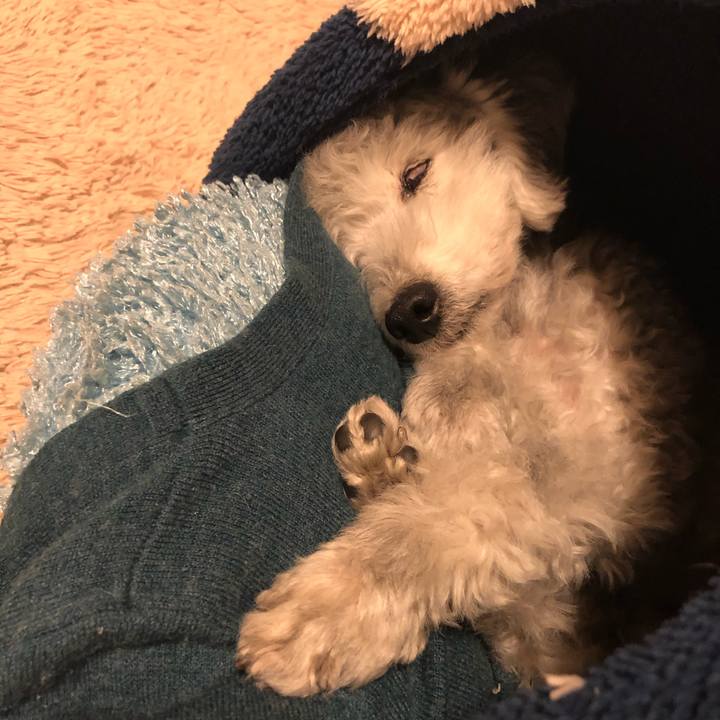 6ee98bee b160 42da a092 bea94ca6787f 1605485943426