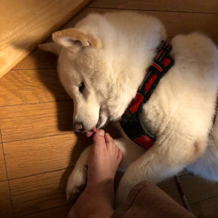 6ee98e9d 20ff 4e1d a105 f38dbbbeba54 1612436450786