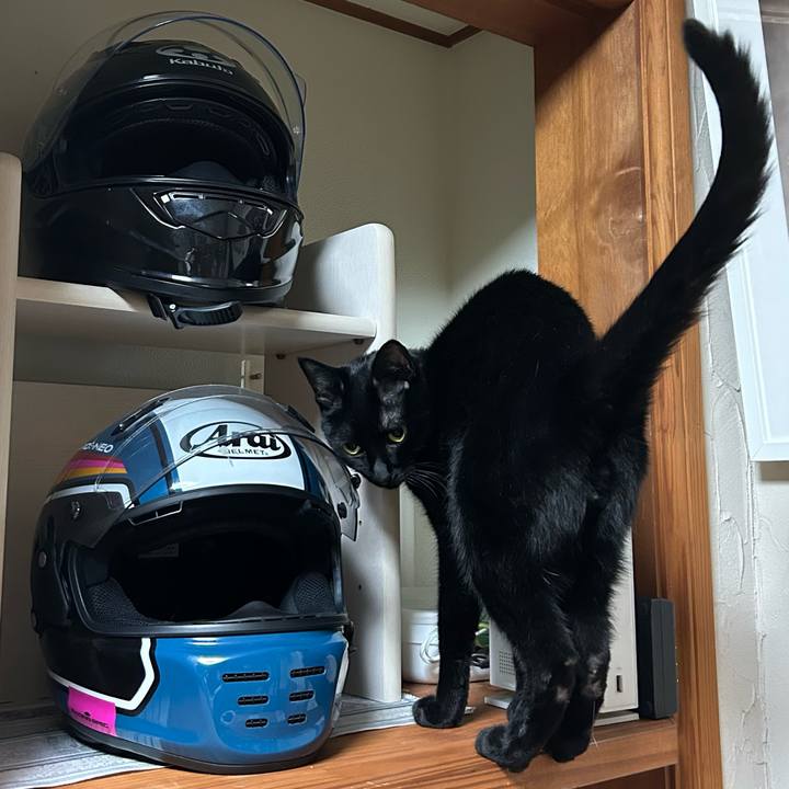 6ee9a16c 6112 43e6 948b 548dceb75165 1680819401793