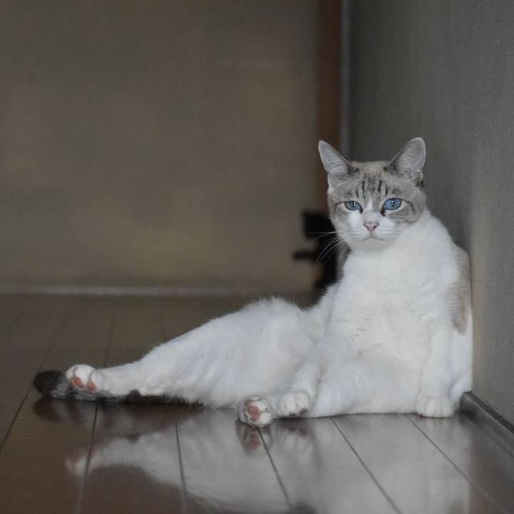 6ee9aedc 22f1 4b9d b2d7 66f7e9b6361f 1570155200801