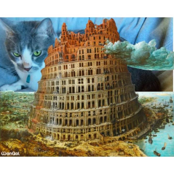 6ee9be06 2ade 4225 a656 3809331272e8 1635580392579