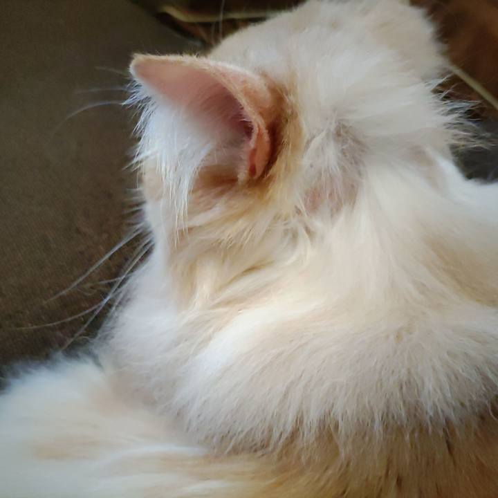 6ee9f4f7 bc51 4722 b487 3977a6d2b504 1683421582182