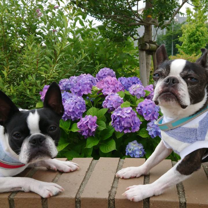 6eea15d4 758b 494d a611 d954ef04e3d3 1529316315436