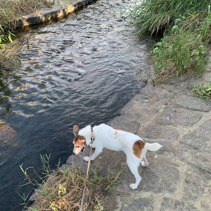 6eea176c ee0f 4cf2 8001 c279e99f6055 1627556463098