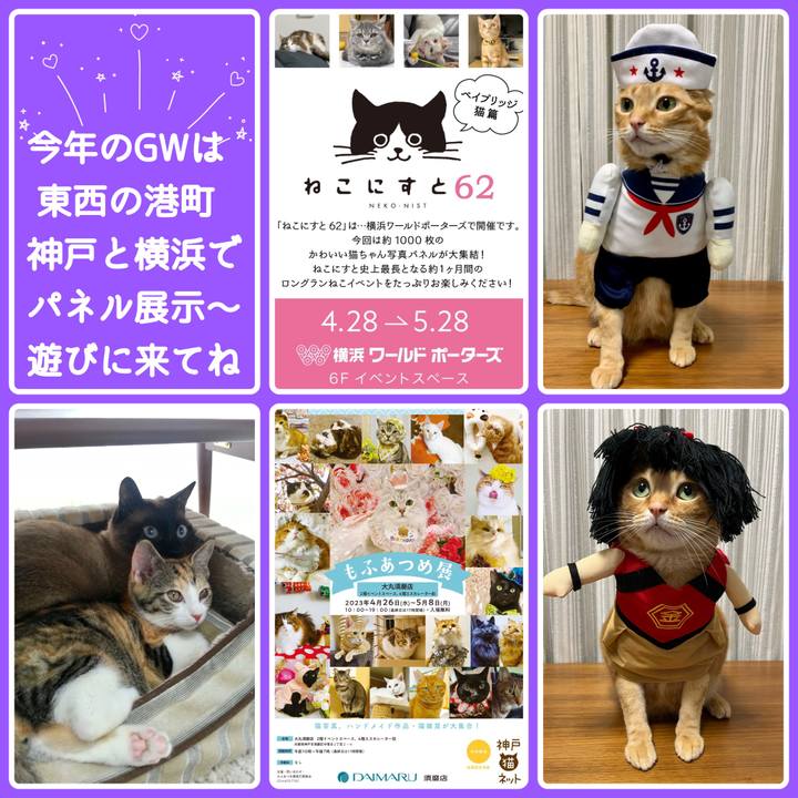 6eea1f39 c25e 4815 bb45 12022d7d0d6e 1682375361894