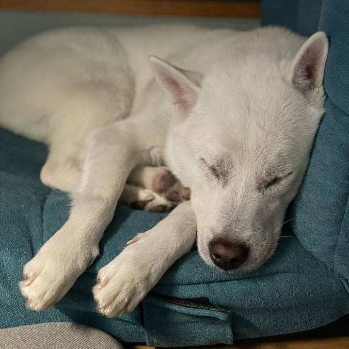 6eea5d6c fca4 4bfc 9feb 92bd58d51a1b 1672552623220