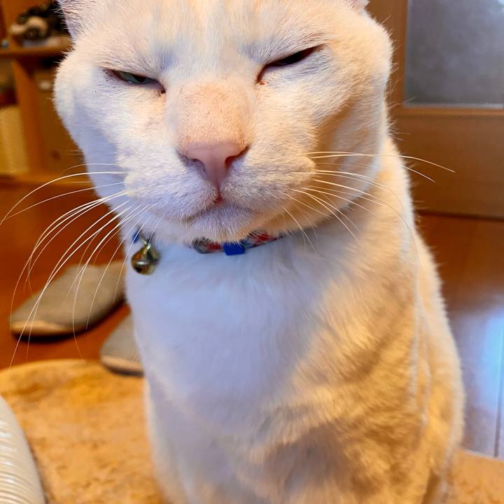 6eea681b 4c6a 4a67 9cd9 eb1798c95cc0 1585088977969