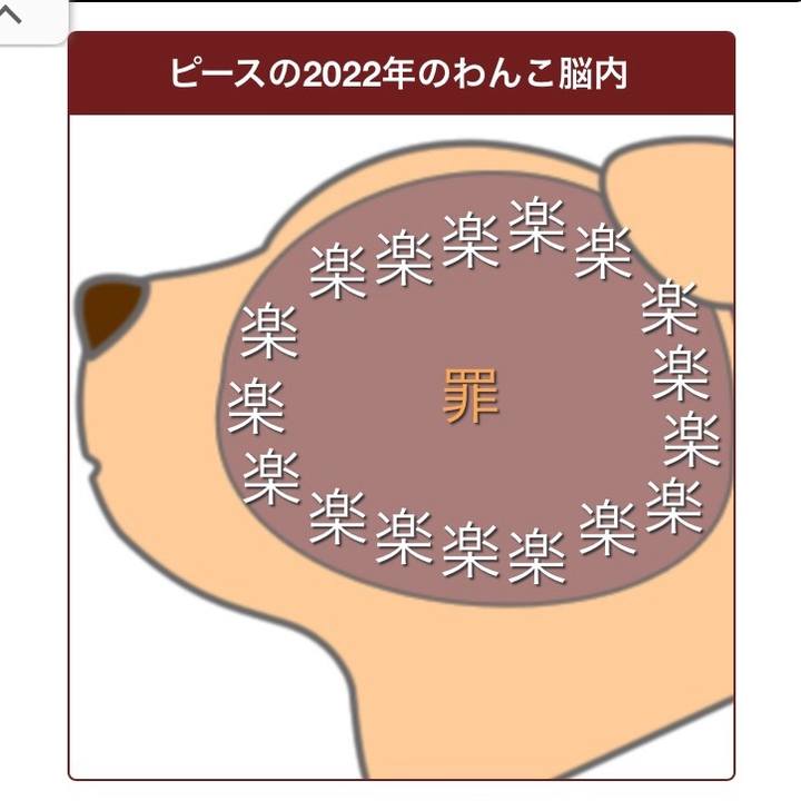 6eeaac1d a5be 41c8 b3ad 52377d263b3e 1667628618917