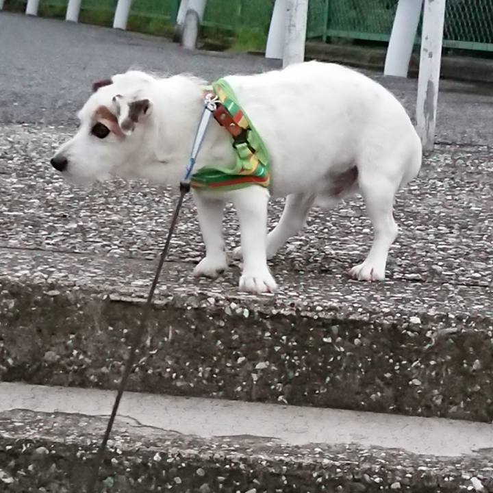 6eeabd5d 1457 4139 b1cc 3cdc73a46139 1529537669519