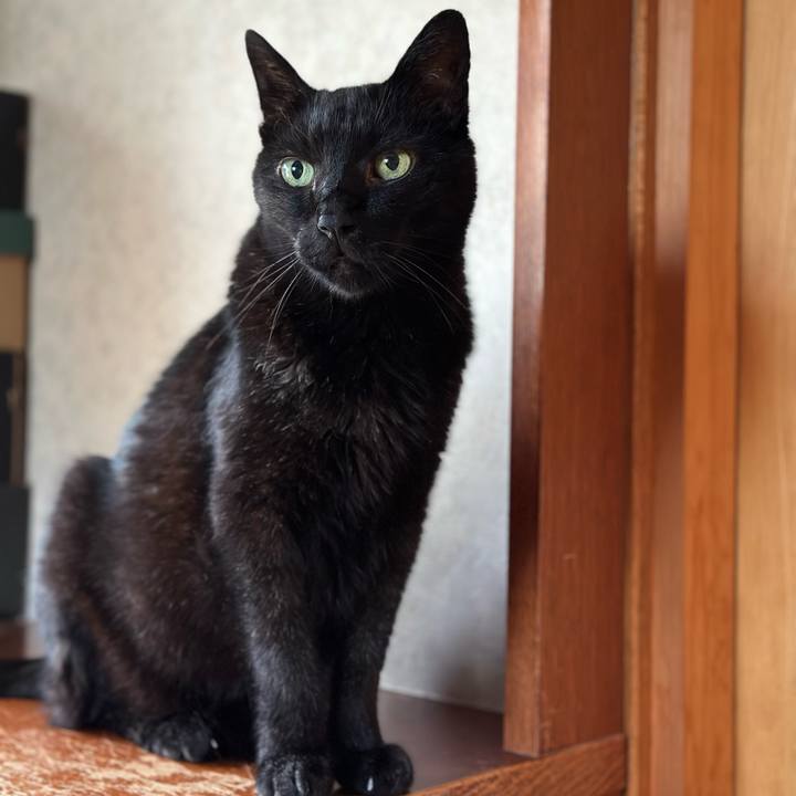 6eead0a6 4b8f 49db 8566 8bc3eccd3214 1687745106448