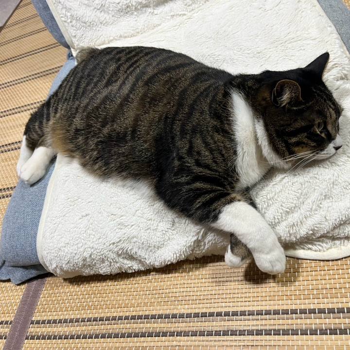 6eeaecbc eac2 4bd2 8d9d acba8e509315 1770336486046