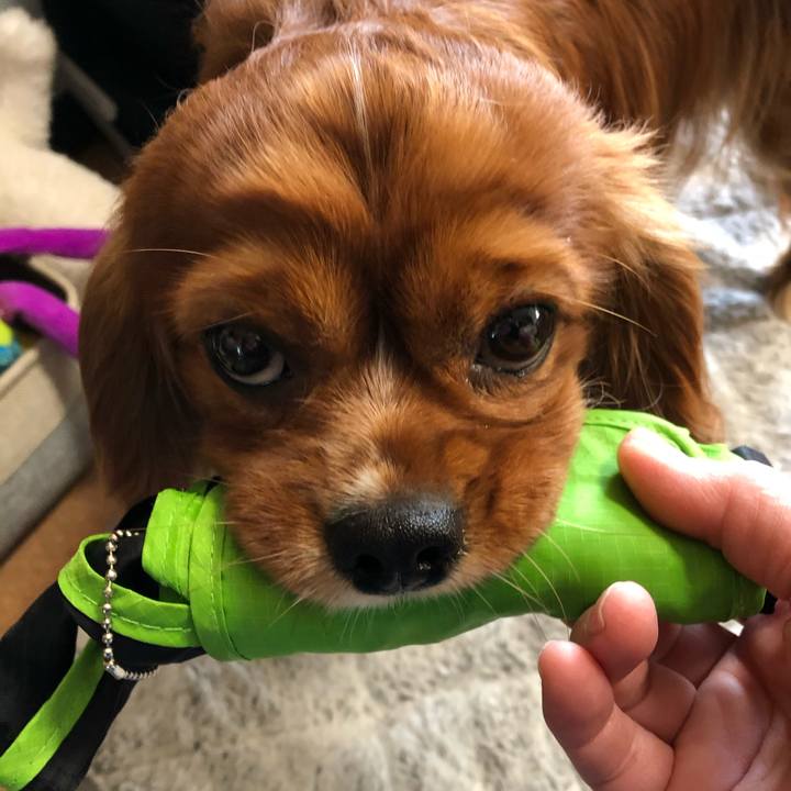 6eeb0549 bf49 466d aa8e 7504540b30d0 1587766036122