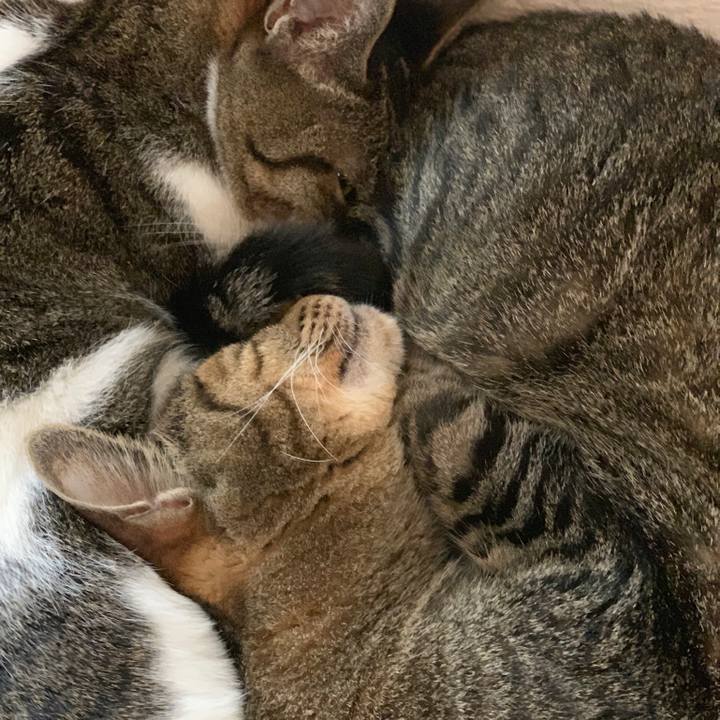 6eeb1099 3605 456c 9279 62c59e333f49 1562373717040