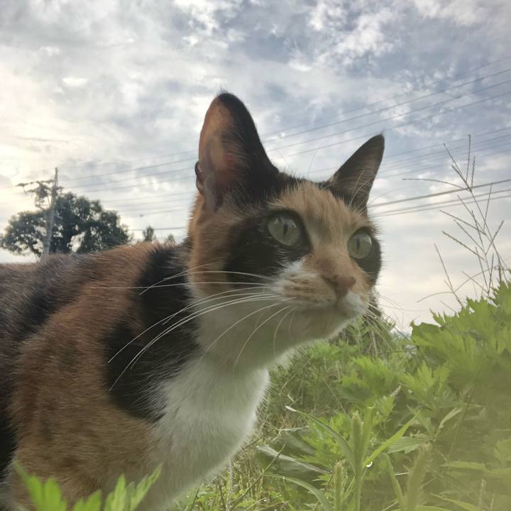 6eeb5940 257c 4809 b20e 493df7e3adce 1601677286944