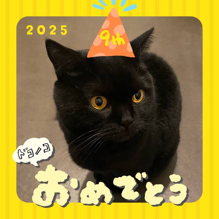 6eeb611f d33d 48f8 a4ad 9db33811bd23 1749089774121